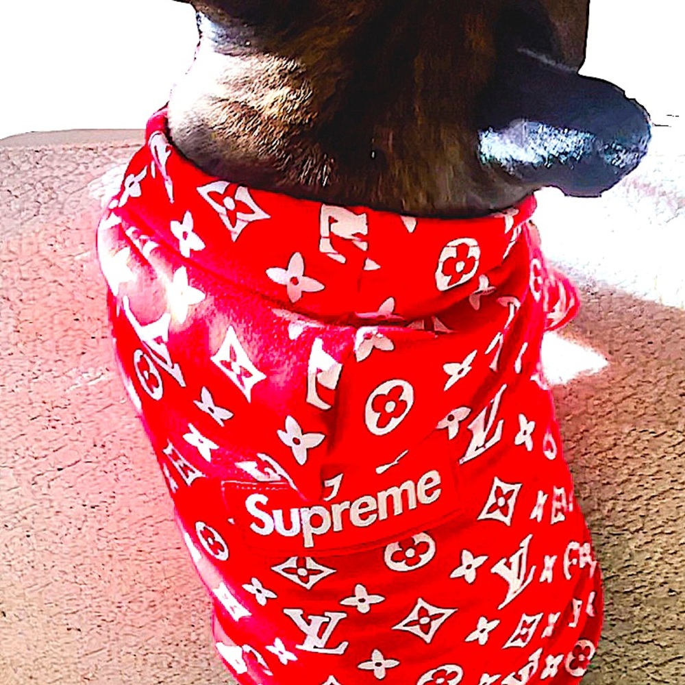 Pawmain “Pupreme” Supreme x Louis Vuitton Collab - Inspired Hoodie for Dogs - Picture 3 of 11